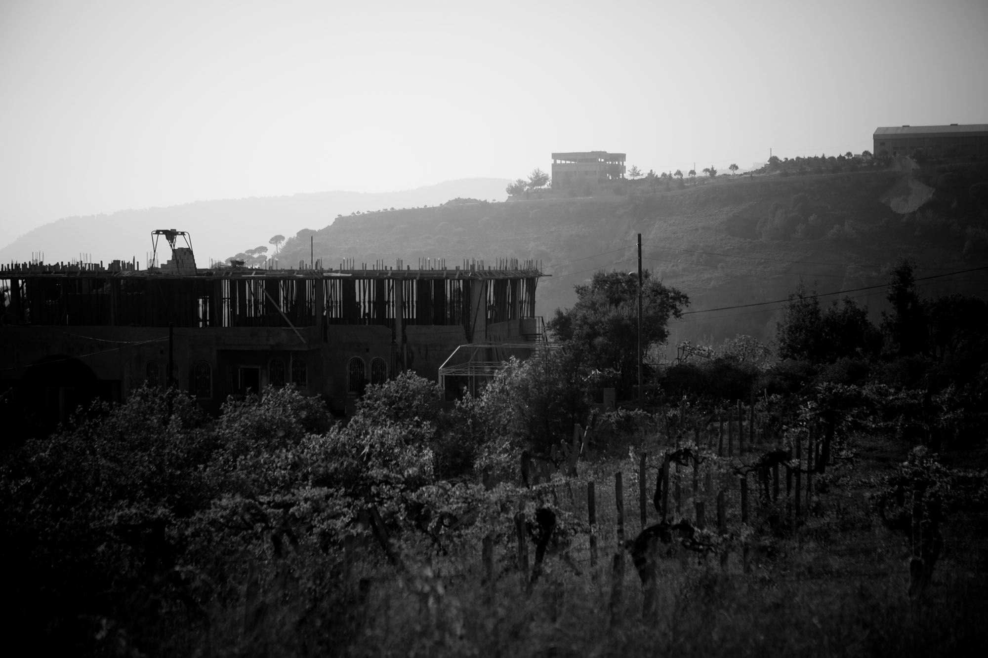 Top 50 Survival Blogs Best Survivalist & Prepper Sites to Follow